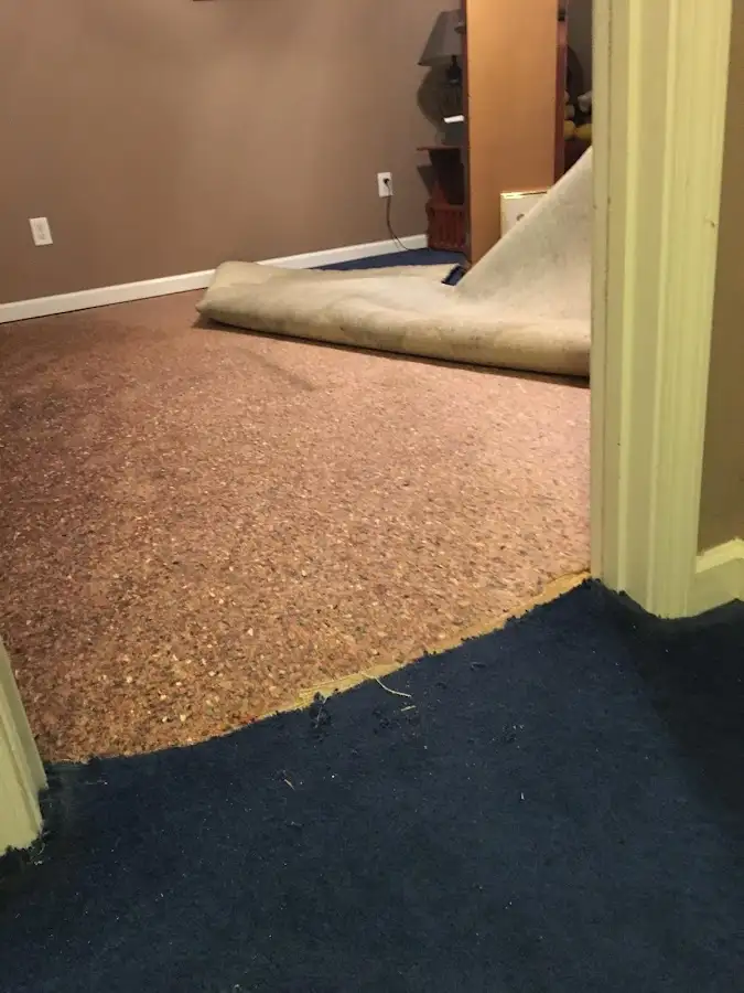Carpet pad removal revealing water damage during Water Mitigation Services in Irvington